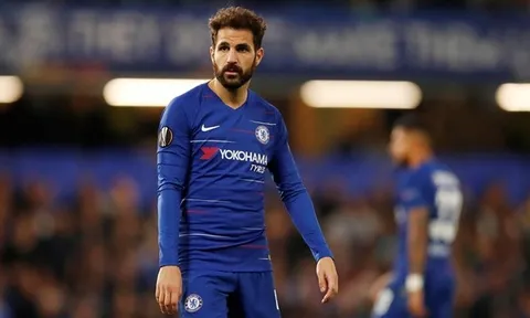 Xong! Làm được điều này, Fabregas sẽ rời Chelsea trong "1 nốt nhạc"