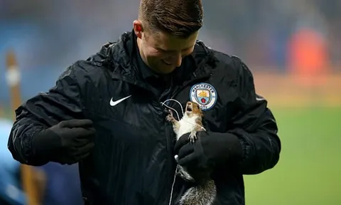 Chú sóc bướng bỉnh làm náo loạn sân đấu Man City