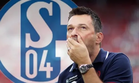 Chủ tịch Schalke 04 TIẾT LỘ bí mật khiến các CĐV Arsenal cực kỳ tiếc nuối