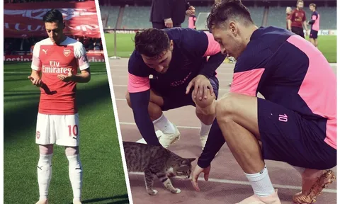 Đây, điềm báo Arsenal sẽ thua đau tại Europa League
