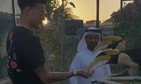 Đi dưỡng thương, Alli tranh thủ thăm thú nơi ít ngờ ở Dubai