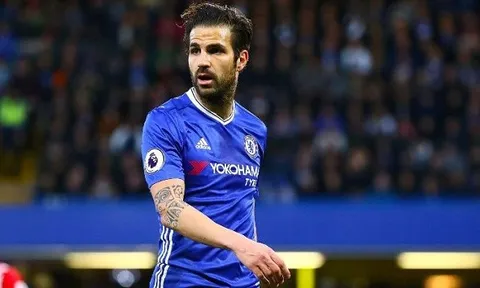 Fabregas là nhà vô địch trong lòng Conte