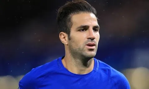 Fabregas thú nhận từng ném pizza vào Sir Alex Ferguson