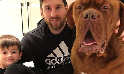 Giật mình với chú chó "khổng lồ" Hulk của Lionel Messi