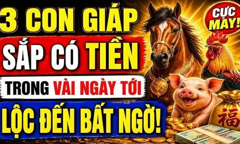 Thần Tài báo mộng vàng son, 3 con giáp thuận lợi lên cao như diều gặp gió