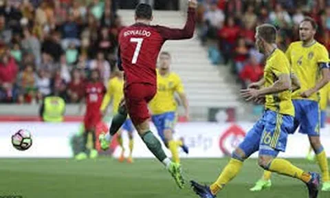 Nhìn lại hình ảnh Thụy Điển mất vé dự World Cup 2014