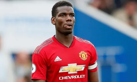 Paul Pogba nhận sai sau trận thua muối mặt trước Brighton