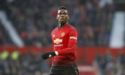 Darren Fletcher hiến kế dùng Paul Pogba cho Solskjaer