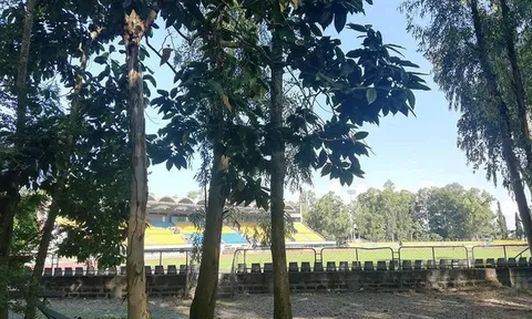 Choáng váng với sân đấu tồi tàn trận bán kết Việt Nam gặp Philippines