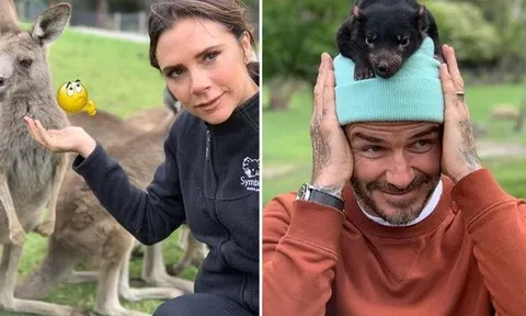 Sau bao sóng gió gia đình, Victoria Beckham đã vui trở lại
