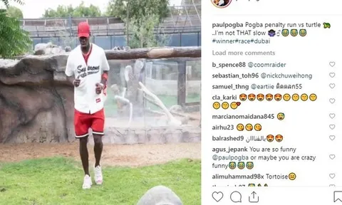 Du hí Dubai, Pogba đại thắng marathon với... rùa