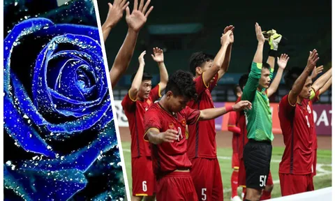 U23 Việt Nam và chuyện tình hoa hồng xanh bất tử