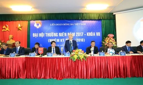 Vì sao lỗ tài chính, VFF vẫn có lãi?