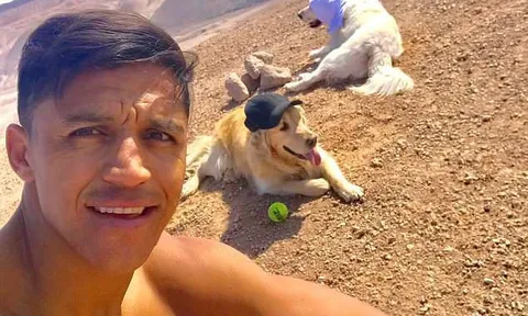 Lỡ World Cup, Alexis Sanchez giải sầu với 2 chú chó cưng