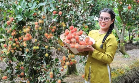 5 điểm cách TP.HCM không xa, thích hợp cho dịp nghỉ lễ: Vừa tránh nóng hiệu quả, vừa ngắm cảnh chữa lành