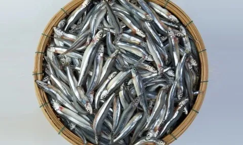 12 thực phẩm giàu dinh dưỡng bán đầy chợ Việt, thích hợp cho cả nhà dịp lễ, từ 15.000 đồng có thể mua