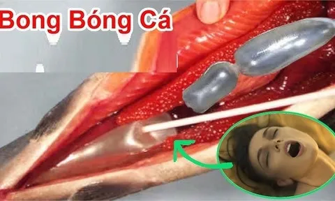 2 bộ phận quý nhất của con cá, nhiều người không biết bỏ phí