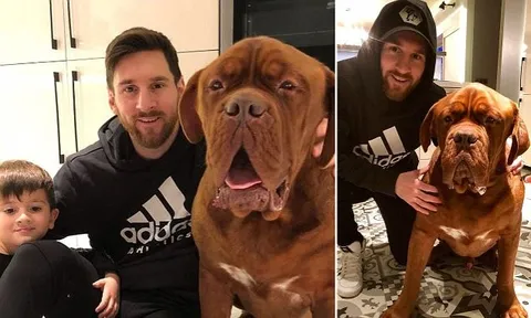 Messi lừa bóng, chó khủng cũng mệt đừ