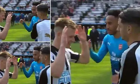 Aubameyang nghẹn cổ với 'cục lơ' của sao Newcastle