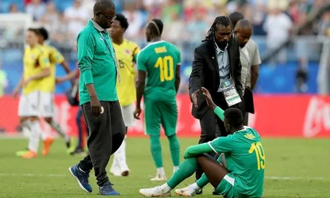 "Senegal chỉ nên tự trách mình khi bị loại theo cách này"