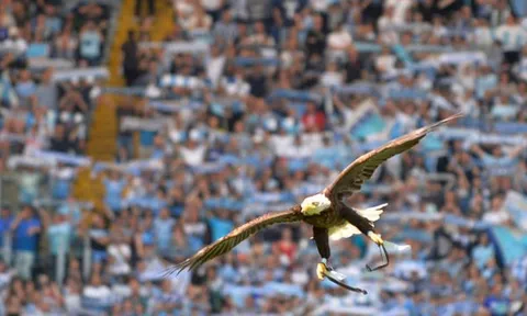Bị Sampdoria 'chặt chém' không thương tiếc, Lazio đáp lại bằng 4 bàn