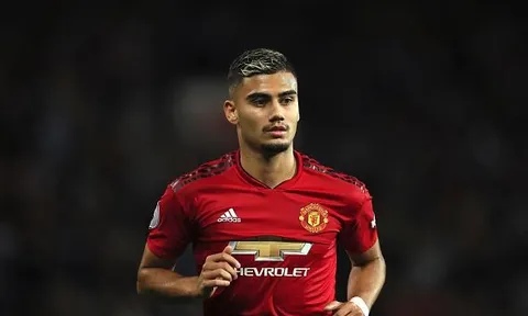 Andreas Pereira: "Anh ấy không cần giai đoạn chuẩn bị cho mùa bóng"