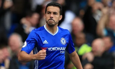 Chelsea gật đầu, Pedro tới bến đỗ không ngờ?