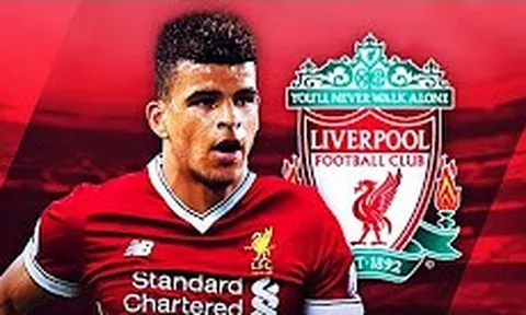 Dominic Solanke, chàng tân binh đang chơi cực hay của Liverpool