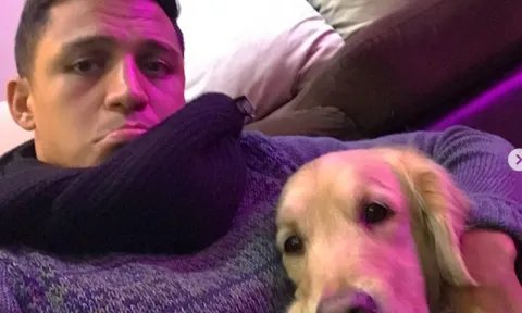 Fan Arsenal nói gì khi Sanchez bị 'bệnh'?