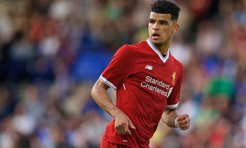 Màn trình diễn của Dominic Solanke vs Atletico Madrid