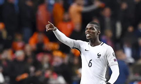 Màn trình diễn của Paul Pogba vs Thuỵ Điển