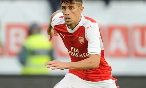 Những ngôi sao chỉ nổ súng 1 lần cho Arsenal ở Ngoại hạng Anh (Phần 2)