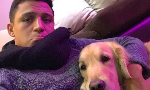 Sắp quay lại Arsenal, Alexis Sanchez đăng ảnh "cáo ốm"