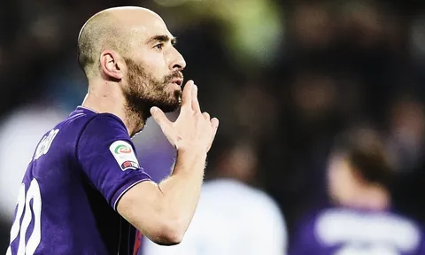 Tài năng của Borja Valero