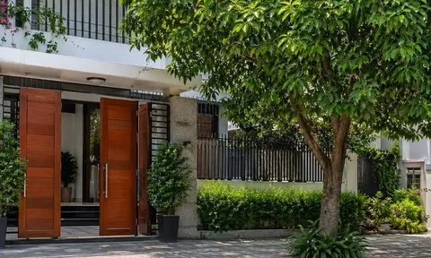 Vì sao không nên trồng cây lớn trước nhà? 3 lý do nhiều người chỉ nhận ra khi đã muộn