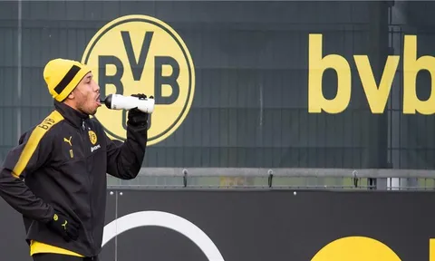 Bị Dortmund cô lập, Aubameyang vẫn tỉnh bơ