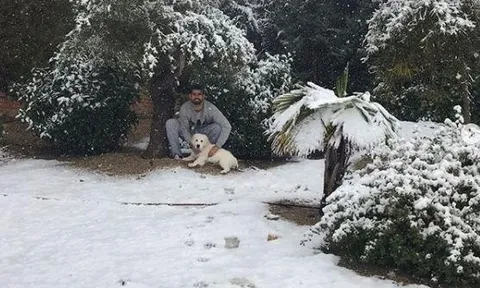 Thách thức trời rét, Diego Costa dẫn chó cưng đi dạo