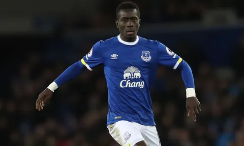 Idrissa Gueye - "Máy quét" siêu hạng tại Ngoại hạng Anh