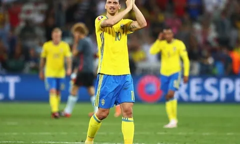 Ibrahimovic: 'Nếu vui, tôi sẽ lên tuyển đá World Cup'