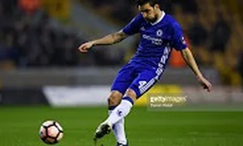 Màn trình diễn của Cesc Fabregas vs Wolves