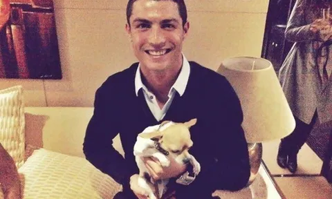 Ronaldo ra tay nghĩa hiệp cứu 80 chú chó