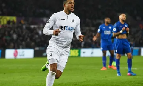 Tổng hợp, Swansea 2-0 Leicester City (Vòng 25 NHA)