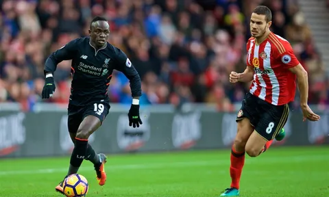 Video: Sunderland 2-2 Liverpool (Vòng 20 Ngoại hạng Anh)