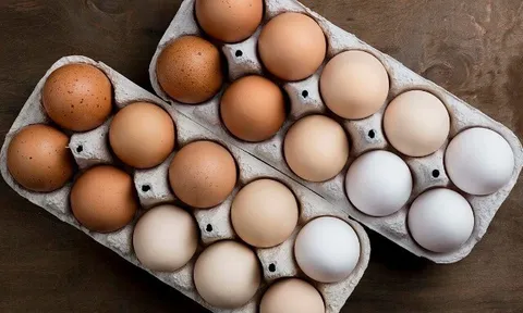 Trứng gà đại bổ được ví là “siêu thực phẩm” hạng A, nhưng tuyệt đối không sử dụng nếu thấy vỏ có dấu hiệu này