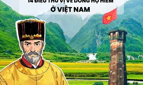 Dòng họ nào chưa đến 1% dân số Việt Nam, nổi tiếng thời vua Lê Trung hưng, mở ra một giai đoạn mới trong sử Việt?