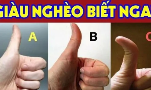 Người có tướng tay này: Cả đời giàu sang phú quý