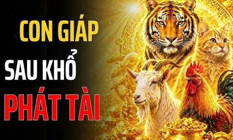 Bền chí sẽ giàu, 3 con giáp chớ nóng vội mà hỏng việc lớn
