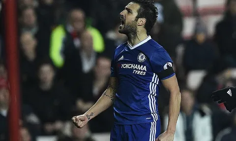 Fabregas tỏa sáng trong trận Sunderland (Ngoại hạng Anh)