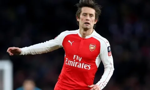 Rosicky - viên pha lê tuyệt mĩ của bóng đá thế giới