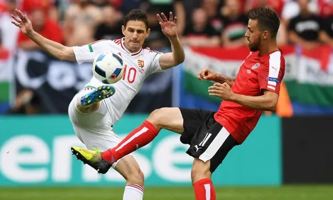 23h00 ngày 18/06, Iceland v Hungary: Tiếp tục giấc mơ